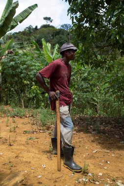Afrikalı işçi ormanda dikiliyor, seyahat çekimi var.