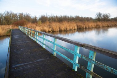 Güzel sonbahar sahnesi, nehir manzarası.