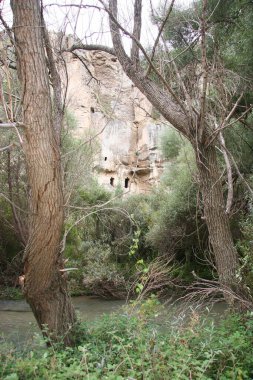 Ormandaki nehrin güzel manzarası.