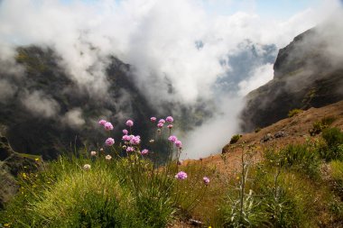Dağların güzel manzarası