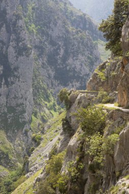 Dağların güzel manzarası