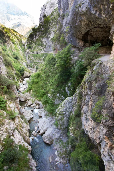 Dağları ve nehri olan güzel dağ manzarası