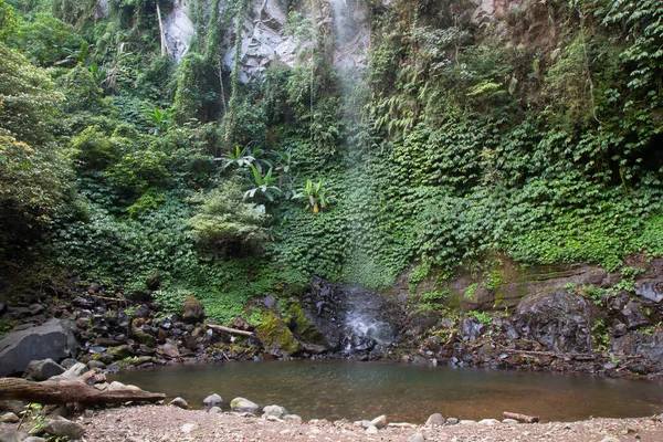 Bela Cachoeira Fundo Com Uma Planta Verde — Fotografia de Stock