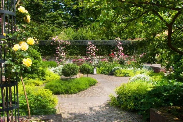 Luxuriante Scène Jardin Vert Avec Des Fleurs Fleurs — Photo