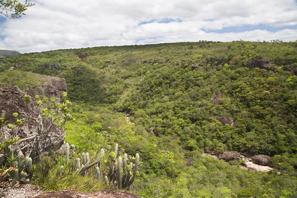 Hermoso Paisaje Con Rocas Exuberante Vegetación — Foto de Stock