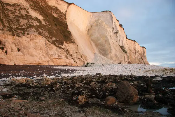 Deniz kıyısının güzel manzarası