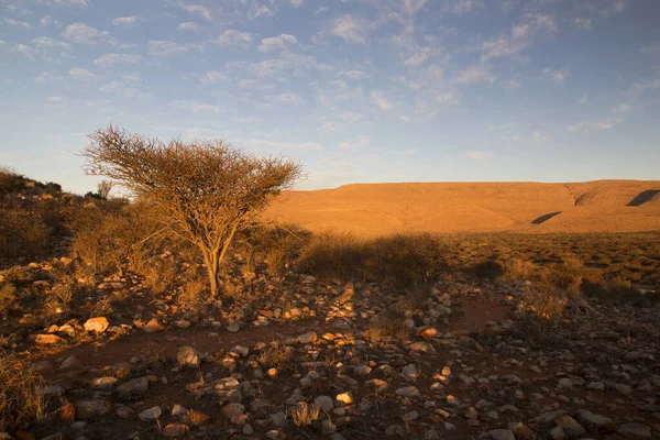 Çölün güzel manzarası