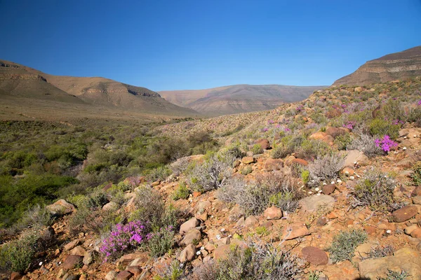 Arkasında dağlar olan güzel bir manzara.