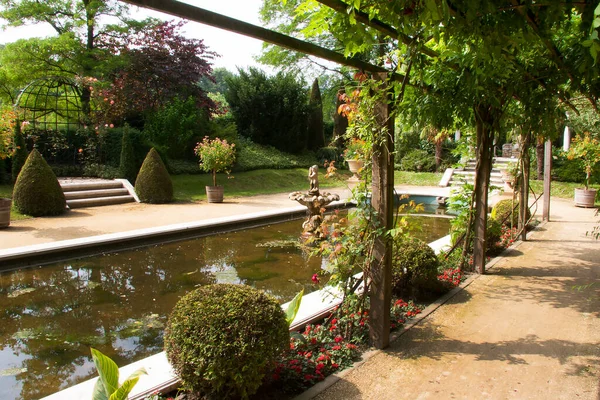池のある美しい緑の夏の庭 — ストック写真