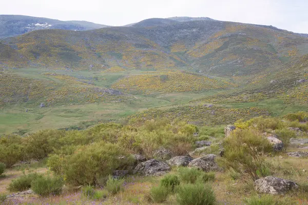 Güzel dağlık arazi manzarası, İspanya