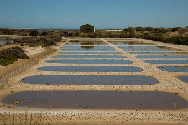 View Sun Lighted Flooded Area — Stock Photo, Image