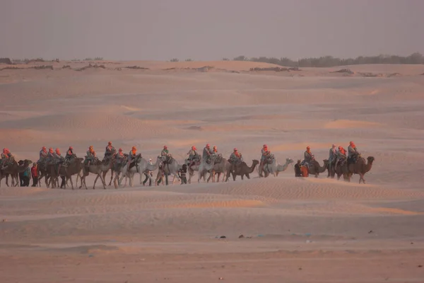 Vue Personnes Chevauchant Des Chameaux Dans Désert — Photo