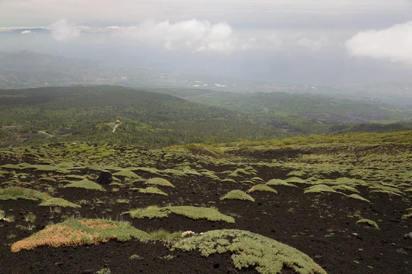 Etna Dağı 'nın krater kenarı lav tarlaları ve dik yamaçlar. Çakıl taşlarıyla kaplı. Güçlü öncü bitkiler tarafından büyütülmüş.