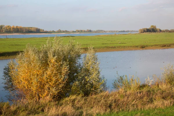 Nehirli güzel bir manzara
