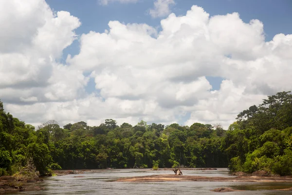晴れた日の川とジャングルの美しい景色 — ストック写真