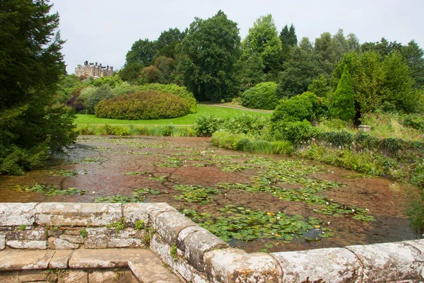 Großer Teich Mit Seerosen Englischen Garten — Stockfoto