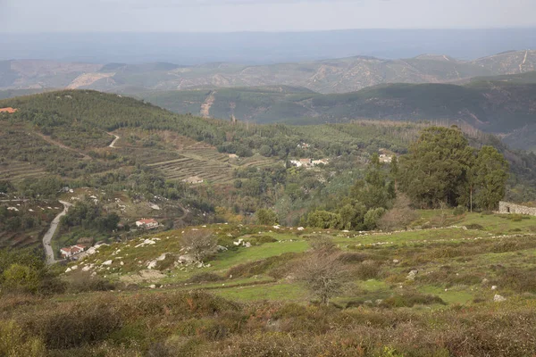 Vista Sulle Montagne Estate — Foto Stock