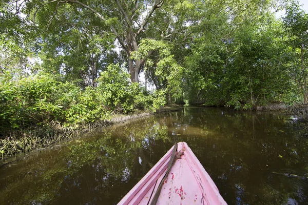 Ormandaki nehrin güzel manzarası