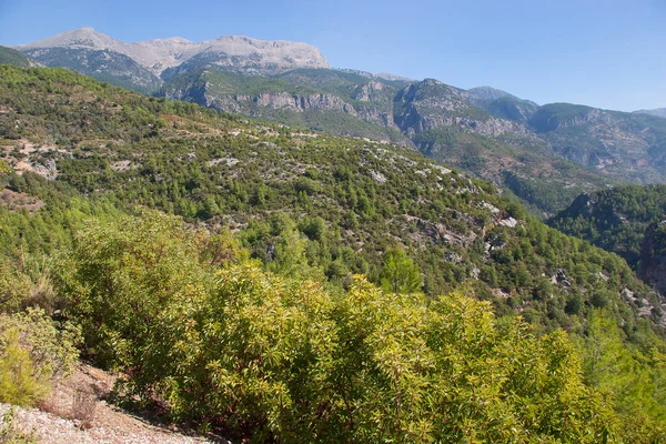 Tipik engebeli dağ yaban hayatı.