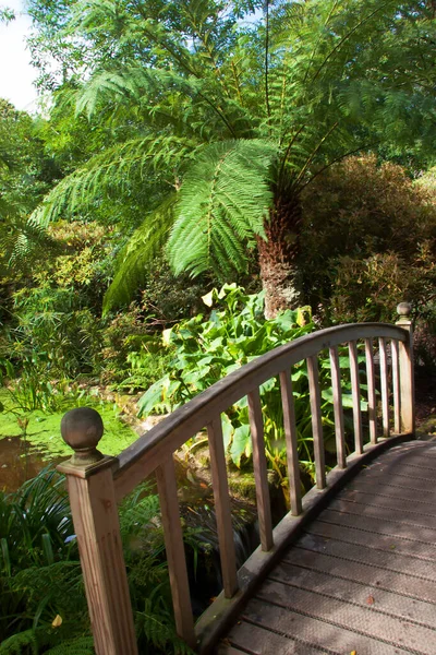 Güzel botanik manzarası