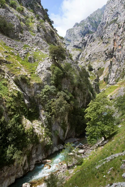 Dağların güzel manzarası
