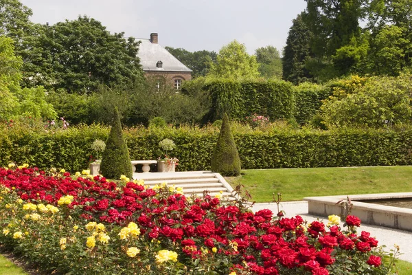 Hermoso Jardín Botánico Con Vegetación Flores Flor —  Fotos de Stock