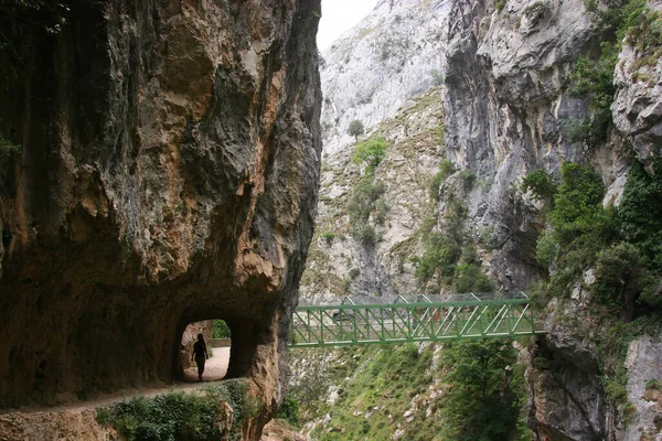 Güzel dağlık manzaranın manzarası