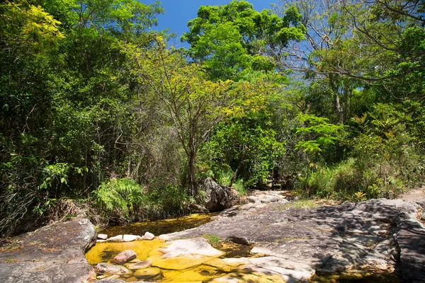 Tropikal yeşillik ve nehirle güzel bir manzara