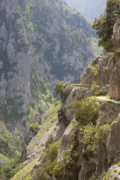 Dağların güzel manzarası