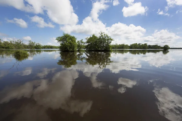 Pittoresca Vista Sul Lago Con Verde Cielo Nuvoloso — Foto Stock