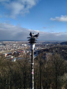 Fenerdeki güvercinler şehre bakın.