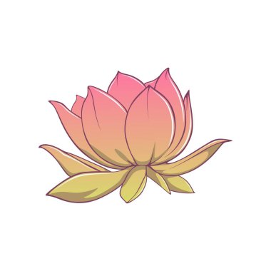 Pembe Lotus Vektör Arkaplan elementi