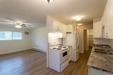 Beyaz duvarları ve yeni sert ahşap kaplama döşemeleri olan yenilenmiş apartman dairesi kiralama ünitesi..