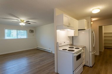 Beyaz duvarları ve yeni sert ahşap kaplama döşemeleri olan yenilenmiş apartman dairesi kiralama ünitesi..
