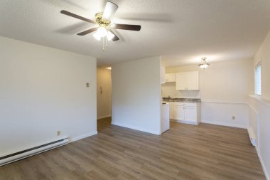 Beyaz duvarları ve yeni sert ahşap kaplama döşemeleri olan yenilenmiş apartman dairesi kiralama ünitesi..