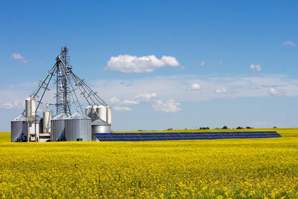 Steel Grain Silo Storage Tank Solar Panel Yellow Canola Field —  Fotos de Stock