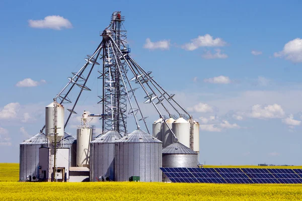 Сталевий Зерновий Бункер Сонячною Панеллю Жовтому Полі Каноли Цвіті Альберті — стокове фото