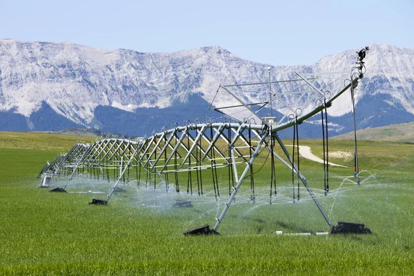 カナダのアルバータ州カウリー近くのフィールドに散水センターピボット灌漑装置 — ストック写真