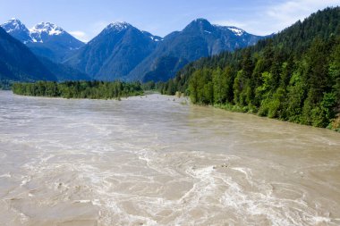 Fraser Nehri 'nin ilkbaharda akan sularında, Hope, British Columbia, Kanada.
