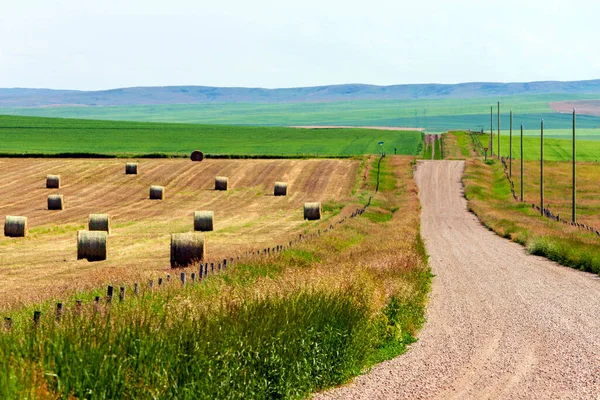 Paisagem Pradaria Canadense Uma Estrada Rural Cascalho Fardos Enrolados Feno — Fotografia de Stock