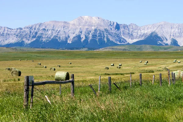 Balla Fieno Campo Con Montagne Rocciose Canadesi Sullo Sfondo Vicino — Foto Stock