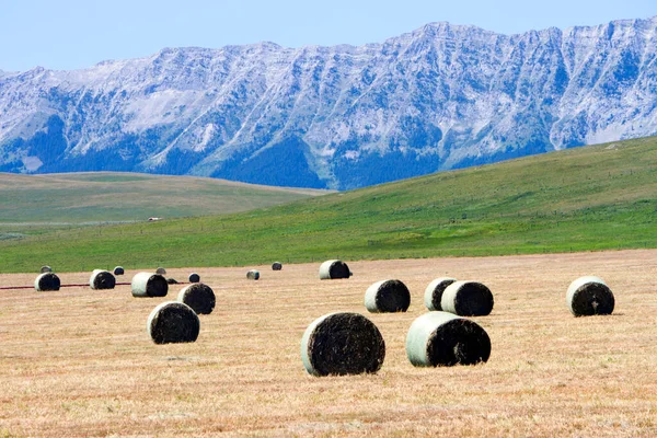 Balla Fieno Campo Con Montagne Rocciose Canadesi Sullo Sfondo Vicino — Foto Stock