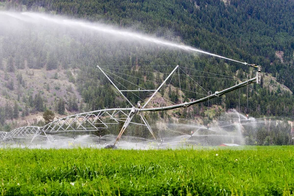 Center pivot irrigation equipment watering an alfalfa field in Kamloops, British Columbia, Canada.