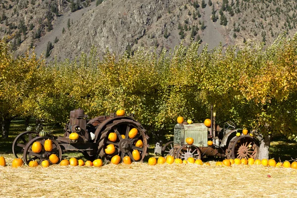 Trator Antigo Velho Equipamentos Agrícolas Pomar Maçã Fazenda Orgânica Com — Fotografia de Stock