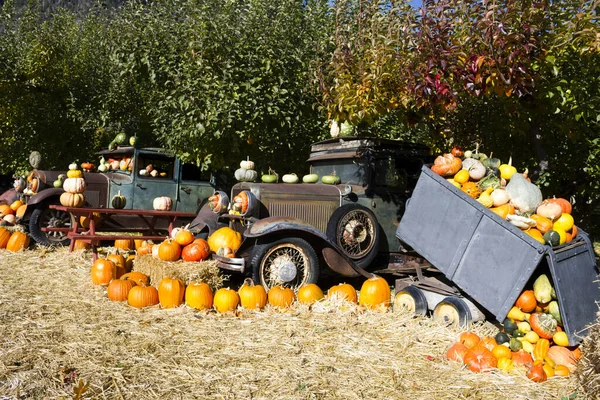 Oude Antieke Tractor Boerderij Apparatuur Een Biologische Boerderij Appel Boomgaard — Stockfoto