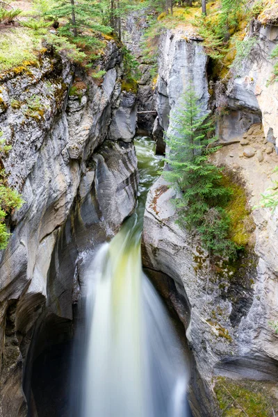 Maligne Canyon Una Caratteristica Naturale Situata Nel Jasper National Park — Foto Stock