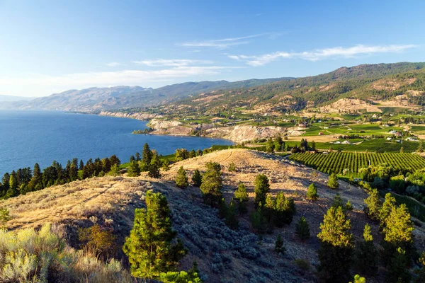 Okanagan Vadisi şehri Penticton, British Columbia, Kanada 'daki Munson Dağı' ndan Naramata Bench 'in görüntüsü.