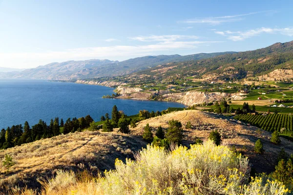 Vedere Băncii Naramata Munson Mountain Din Orașul Penticton Din Okanagan — Fotografie, imagine de stoc