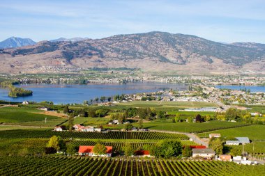 Kanada 'nın British Columbia kentindeki Okanagan Vadisi' nde Osoyoos ve Osoyoos Gölü 'ne bakan tarım ve üzüm bağları manzarası. 