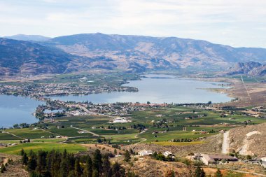 Kanada 'nın British Columbia kentindeki Okanagan Vadisi' nde Osoyoos ve Osoyoos Gölü 'ne bakan tarım ve üzüm bağları manzarası. 